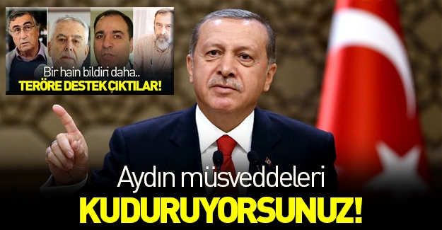 Erdoğan: Aydın müsveddeleri kudurun!