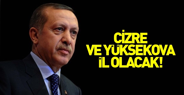 Erdoğan Yüksekova ve Cizre'nin il olacağını duyurdu