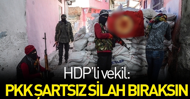 HDP'li vekilden flaş çıkış: PKK kayıtsız şartsız silah bıraksın