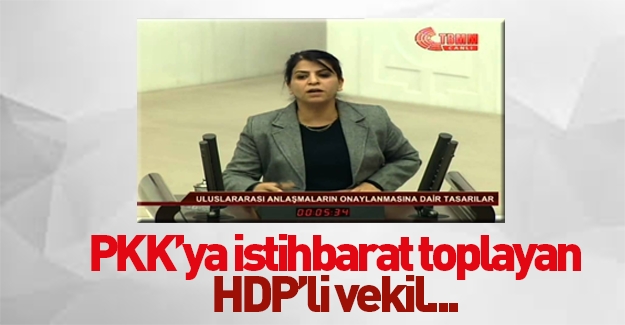 HDP'li vekilden 'polis noktası' sorusu!