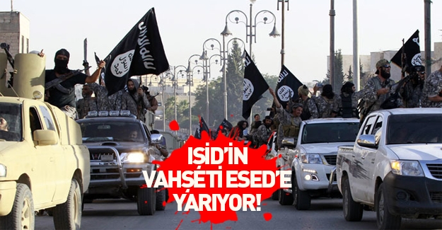 IŞİD’in vahşeti Esed’a yarıyor!