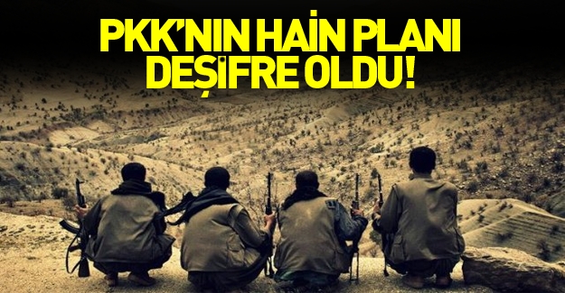 PKK hain planı deşifre oldu