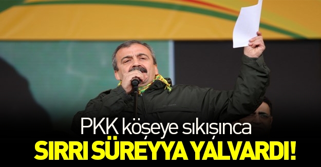 PKK köşeye sıkıştı, Sırrı 'çatışmasızlık' için yalvardı