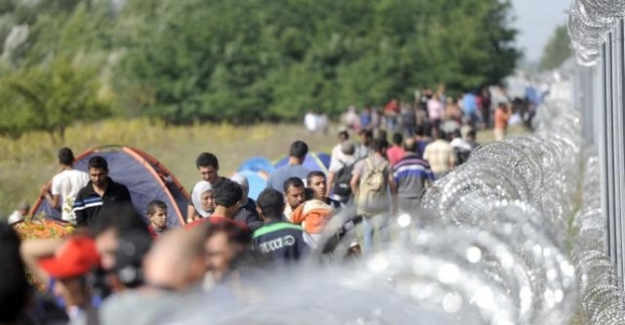 Macaristan mültecileri engellemek için şimdi de sınırına tel örgü çekiyor