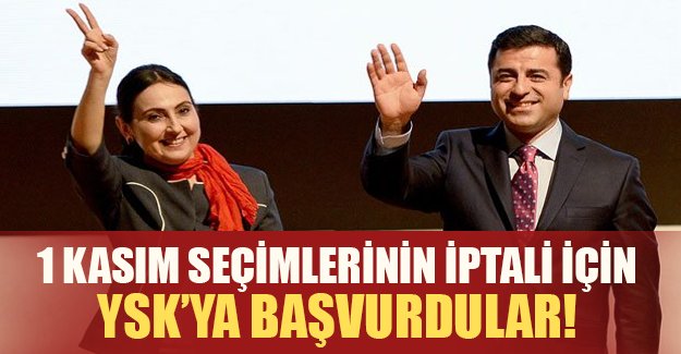 1 Kasım seçimleri iptal mi ediliyor? HDP'den flaş başvuru