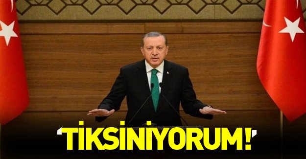Cumhurbaşkanı Erdoğan: "Tiksiniyorum"