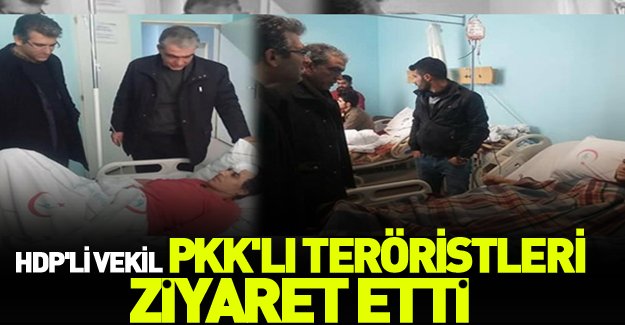 HDP'li vekil PKK'lı teröristleri ziyaret etti
