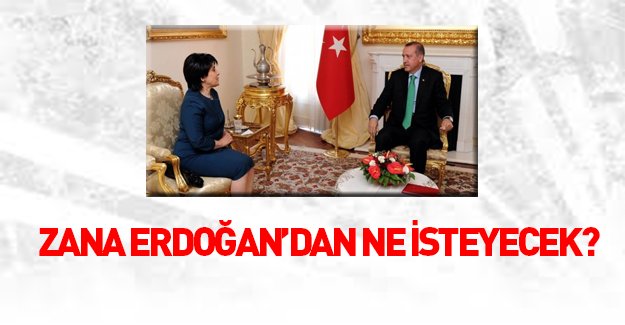 Leyla Zana Erdoğan'dan ne isteyecek?
