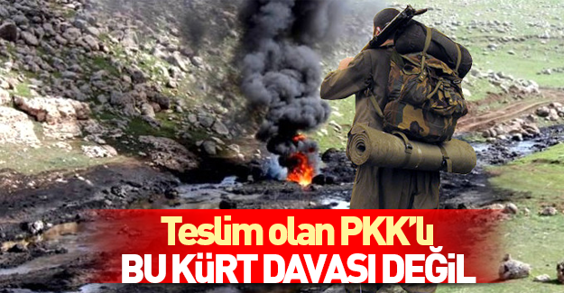 Teslim olan PKK'lıdan itiraf: Kürt davası değil