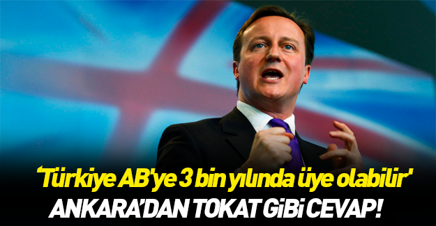 Ankara'dan Cameron'a tokat gibi cevap