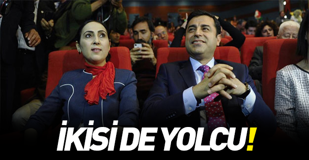 HDP eş başkanları gidiyor