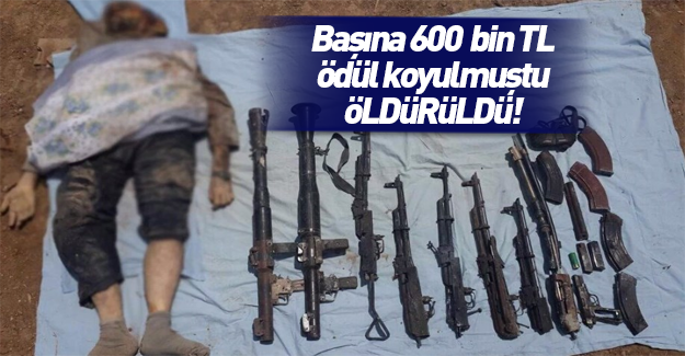 PKK'nın Nusaybin sorumlusu öldürüldü