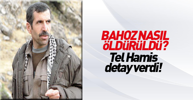 Bahoz'u öldüren Tel Hamis Tugayları'ndan açıklama!