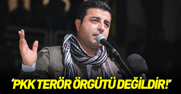 Demirtaş: PKK’yı terör örgütü olarak tanımlamıyoruz