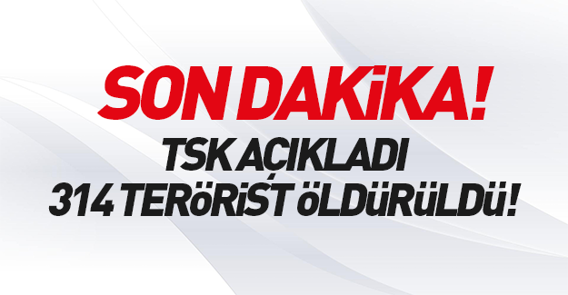TSK açıkladı: 314 terörist öldürüldü