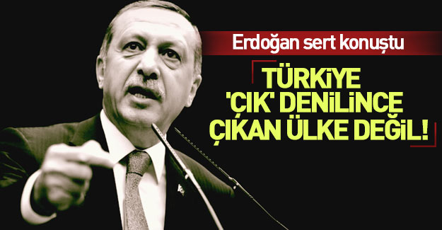 Erdoğan: PKK'da bile bu kadar in görmedik