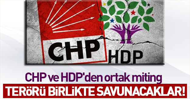 CHP ve HDP'den terör kardeşliği mitingi!