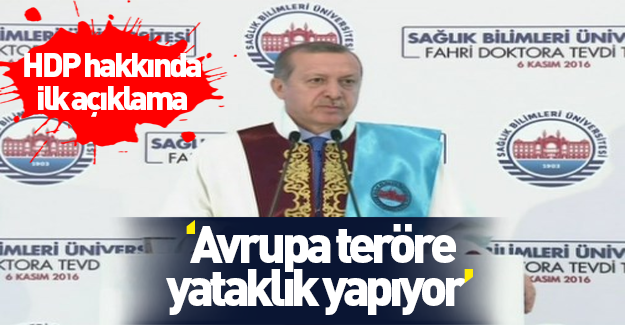 Erdoğan HDP'liler hakkında ilk kez konuştu
