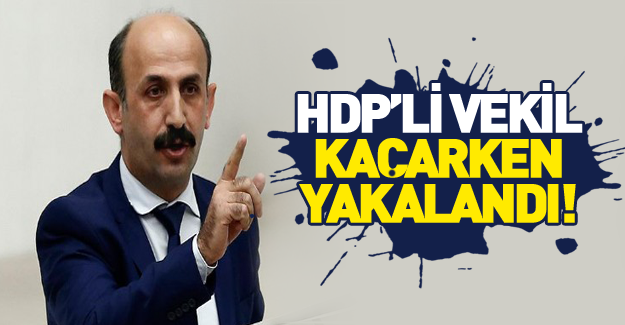 Firari HDP’li vekil yakalandı!