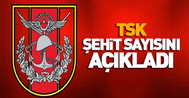 TSK'dan Kayseri saldırısı açıklaması