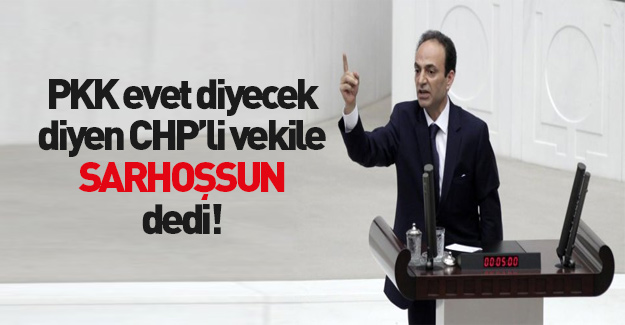 CHP'li vekilin PKK iddiasına HDP'den cevap