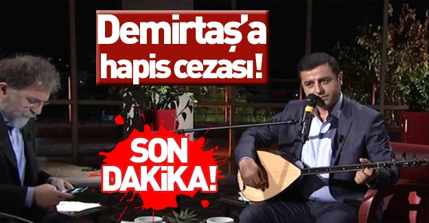 Demirtaş'a 'Türk milletini aşağılama' cezası