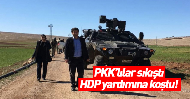 PKK'lılar sıkıştı! HDP yardıma koştu