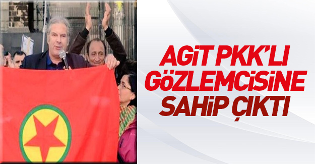 AGİT Gözlem Heyeti Başkanı PKK'lı gözlemcisini savundu