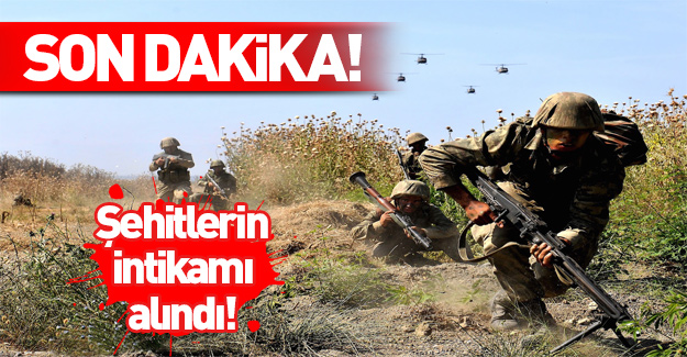 Hakkari ve Şırnak'ta şehit askerlerin intikamı alındı!