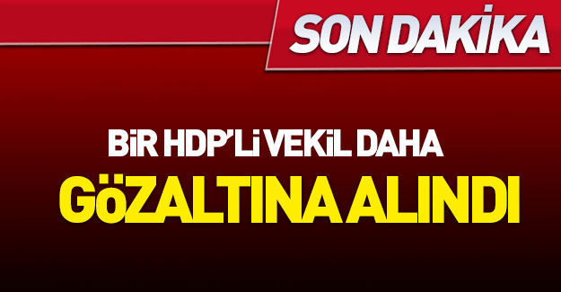 HDP'li vekil gözaltına alındı!