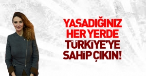 Azerbaycanlı vekilden flaş 'Türkiye' çağrısı