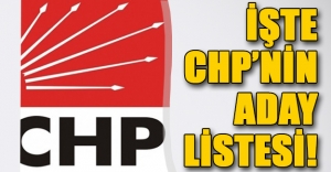 İşte CHP'nin YSK'ya sunduğu aday listesi! 1 Kasım seçimi öncesinde flaş isimler...