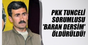 PKK'nın Tunceli sorumlusu 'Baran Dersim' kod adlı İsmail Aydemir öldürüldü!