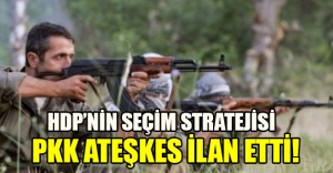 HDP'nin seçim stratejisi! PKK tek taraflı ateşkes ilan etti