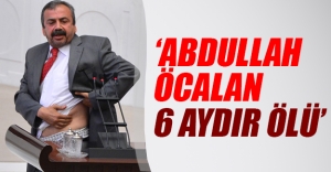 Sırrı Süreyya Önder: Öcalan 6 aydır ölü