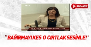 HDP'li kadın vekil meclisi birbirine kattı!