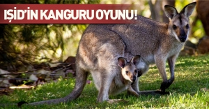 "IŞİD'ci" kanguru katliam yapacaktı!